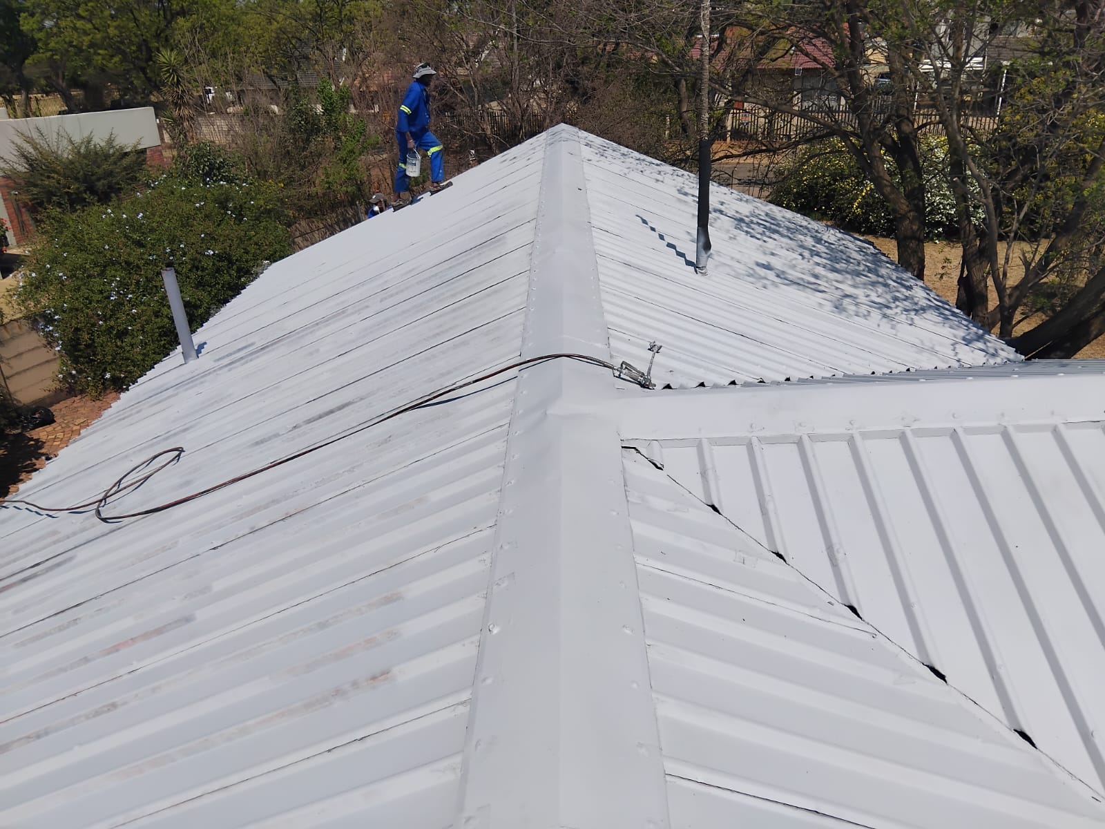 Gutter & roof care